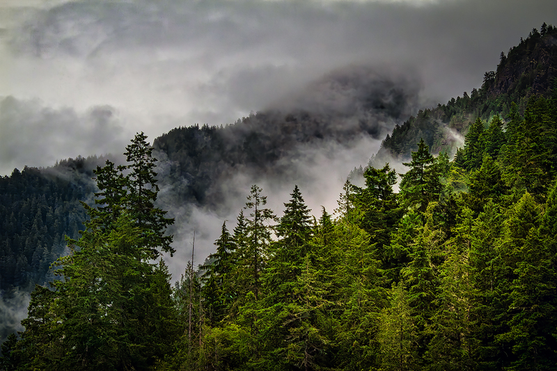 25WAOlympicNatPark_5634.jpg