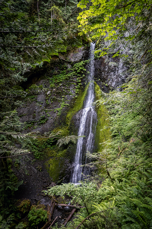 25WAOlympicNatParkWaterfall_2154.jpg