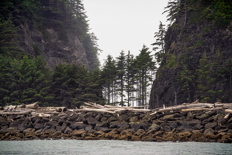 25WAQuileute-Trees_5722.jpg