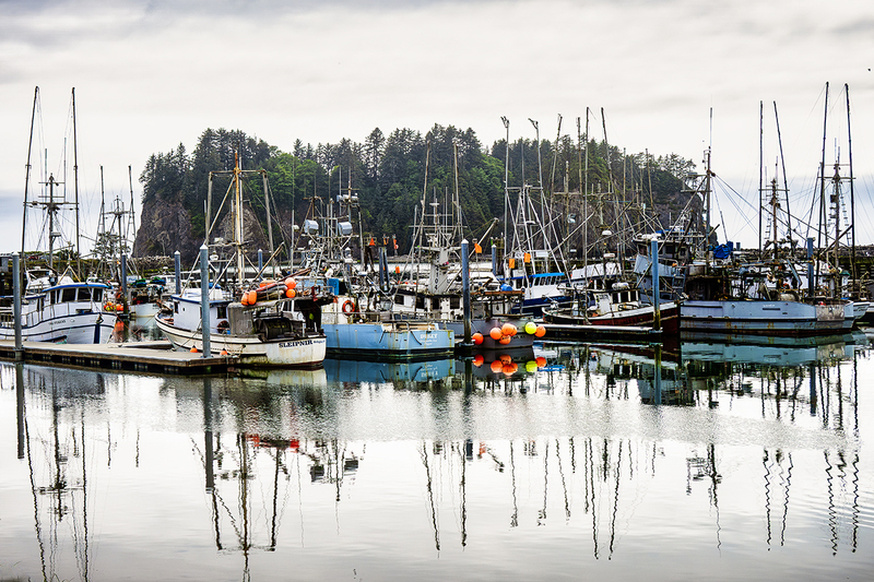 25WAQuileuteHarbor_2257.jpg