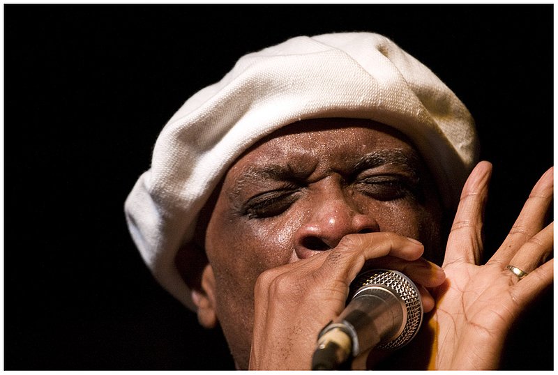 ChiBF.Harp2361.jpg :: H A R M O N I C A   H I N D S
Buddy Guy's Legends, Chicago
June 9, 2008