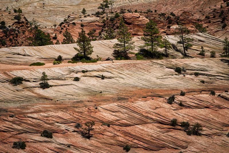 24UTZionStriatedRock_8465.jpg :: Zion National Park, Utah 2024