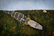 26FLStPete-Alligator_1155.jpg