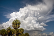 26FLStPete-Cloud_1588.jpg