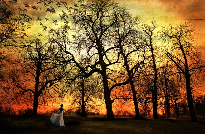 A Farewell.jpg :: A thousand suns will stream on thee,
A thousand moons will quiver;
But not by thee my steps shall be,
For ever and for ever.
~Lord Alfred Tennyson

©2010 LKG Photography