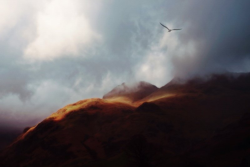 A Flare for the Dramatic.jpg