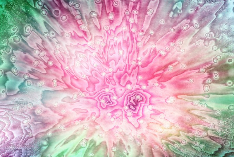 Abstract Carnation.jpg :: ©2010 LKG Photography