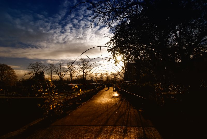All Sins Cast Long Shadows.jpg :: ©2010 LKG Photography