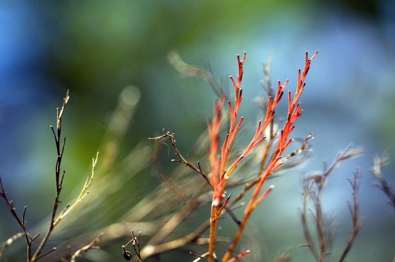 All Things Marvelous.jpg :: ©2012 LKG Photography