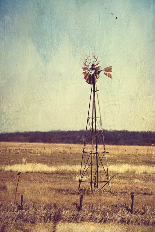 Alone on the Prairie.jpg :: Taken in Southeastern Nebraska