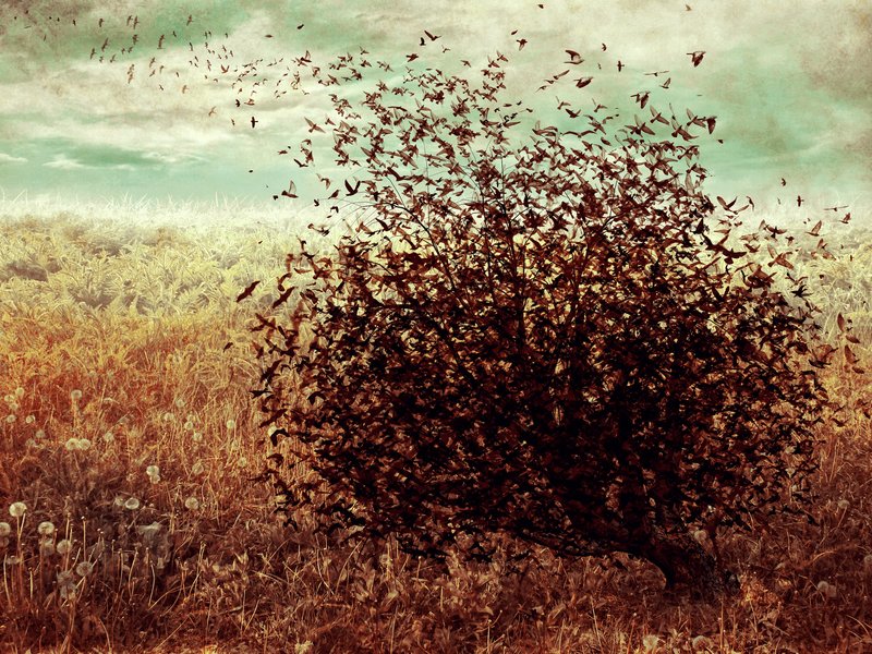 And the Earth Fluttered.jpg :: ©2012 LKG Photography