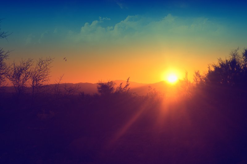 Arizona Sunset.jpg :: ©2012 LKG Photography
