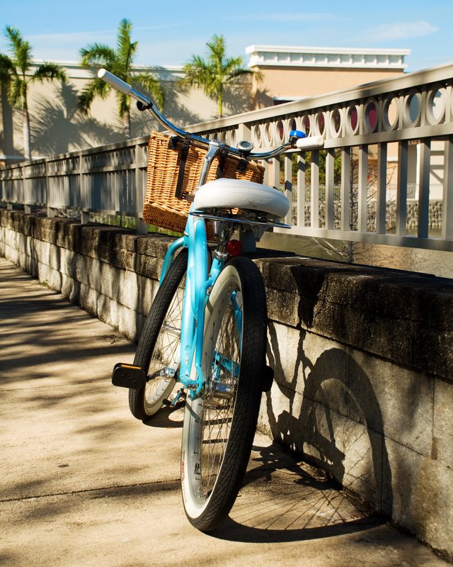 AtRest.jpg :: Bicycle cruiser at rest with shadow