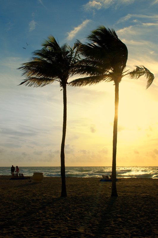 Beach Pairs.jpg :: Hollywood Beach, Florida
©2010 LKG Photography