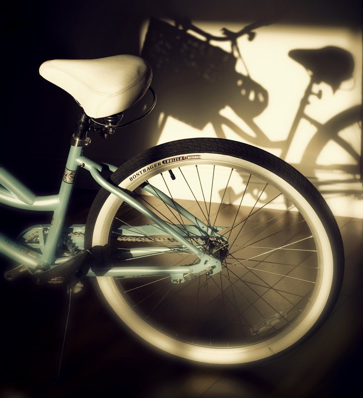 Bike and Shadow.jpg :: ©2010 LKG Photography