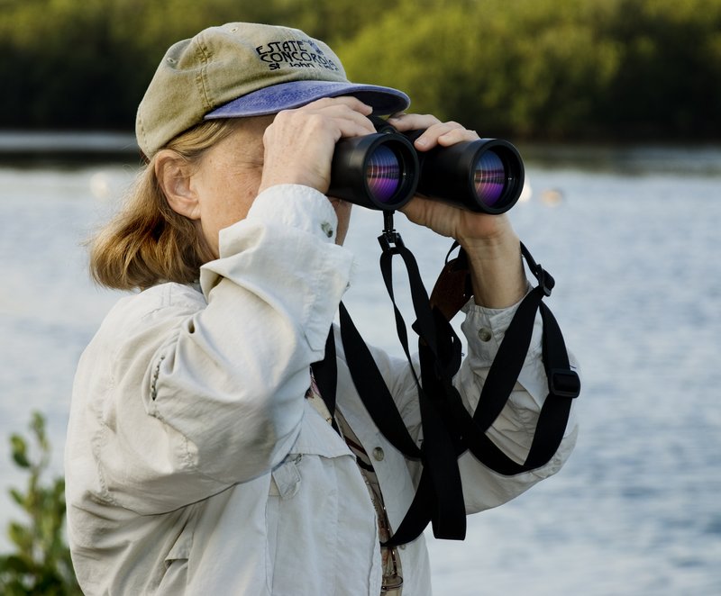 Bird Watcher.jpg :: Stock images are available for download at $3.00 each (plus .50 PayPal fee) and are transferred at full resolution and are Royalty and Copyright free and can be used in commercial work.