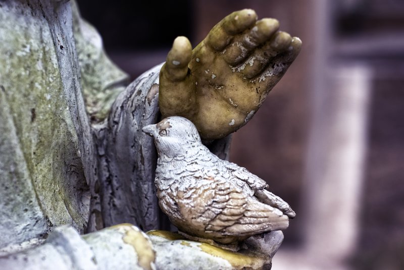 Bird in the Hand.jpg :: Taken at Bonaventure Cemetery
Savannah, Georgia

©2010 www.lkgphoto.com