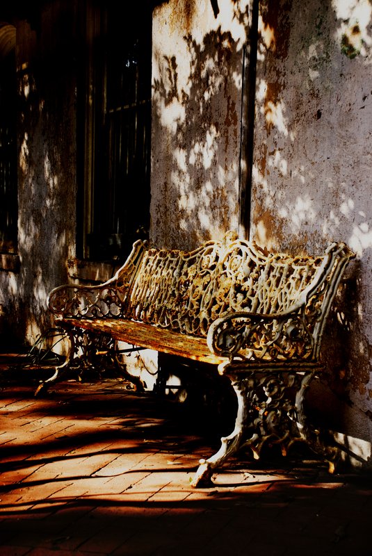 Dappled Things.jpg :: Glory be to God for dappled things.
Gerard Manley Hopkins