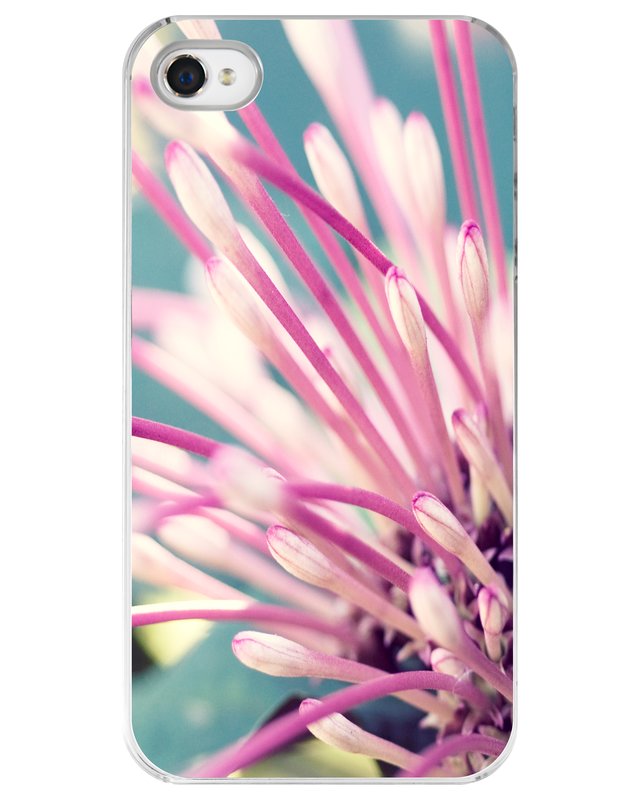 Delicates iPhone Case.jpg :: Case for the iPhone 4 or 4s