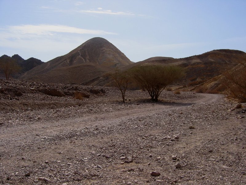 Desert Road with Mountains.jpg :: Taken in Negev Mountains, Israel.
