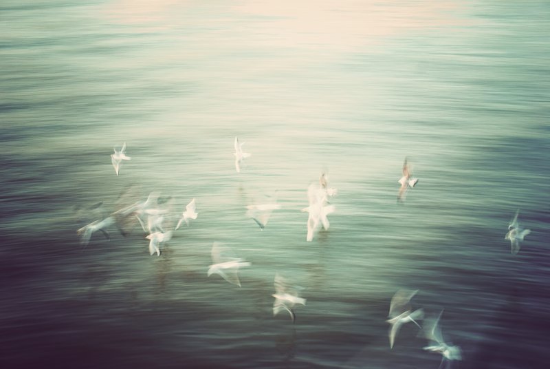Discovery of Consciousness.jpg :: ©2010 LKG Photography
