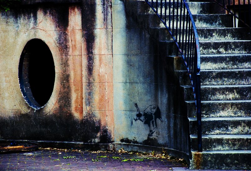 Down The Rabbit Hole.jpg
