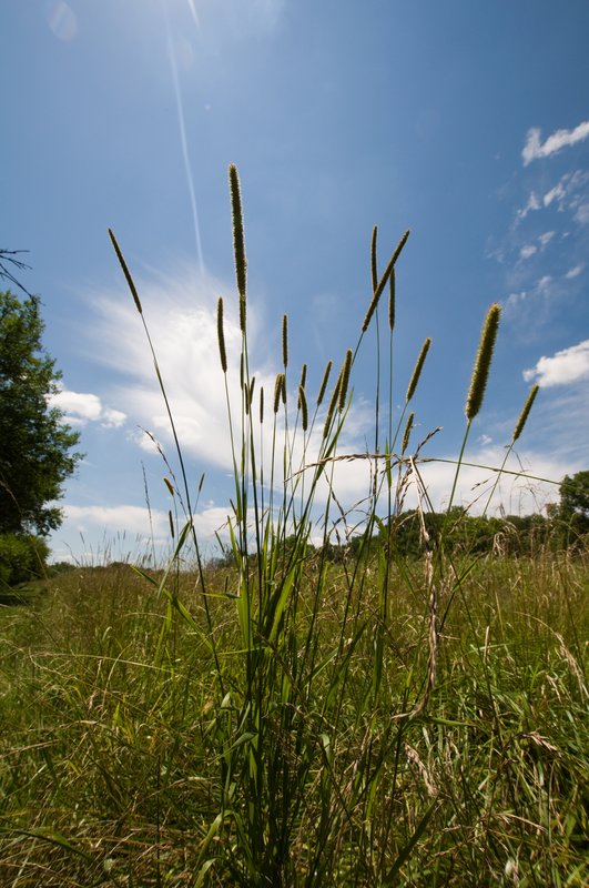 Dwell Among The Beauties.jpg :: Those who dwell among the beauties and mysteries of the earth are never alone or weary of life.
Rachel Carson

©2010 LKG Photography