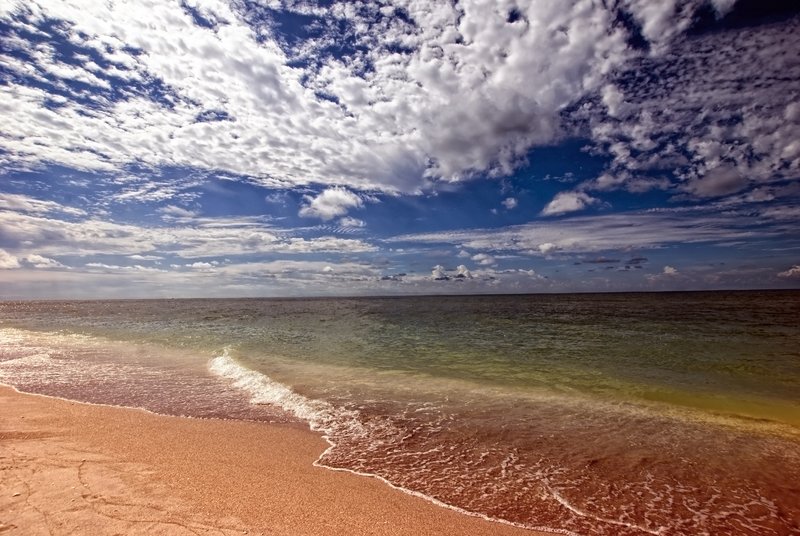 Earth Sea Sky.jpg :: Taken in Sanibel, Florida

©2010 www.lkgphoto.com