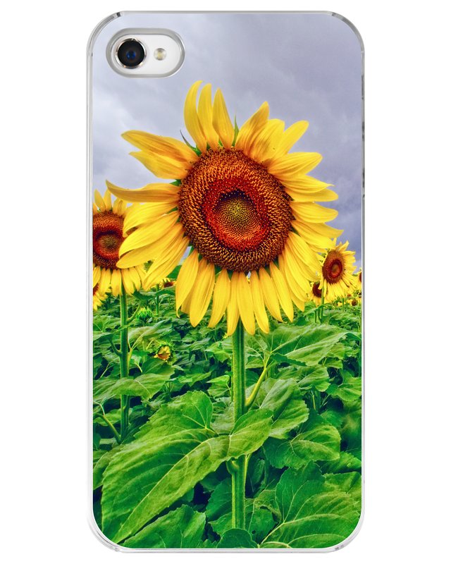 Enchanted Sunflowers iPhone Case.jpg :: Case for the iPhone 4 or 4s