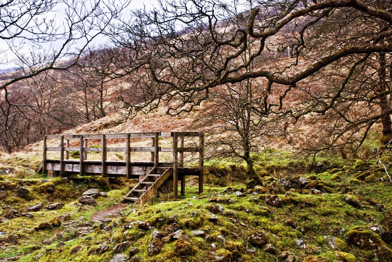 Falloch Footbridge.jpg :: The Falloch Footbridge located in the Scottish Highlands along the West Highland Way.