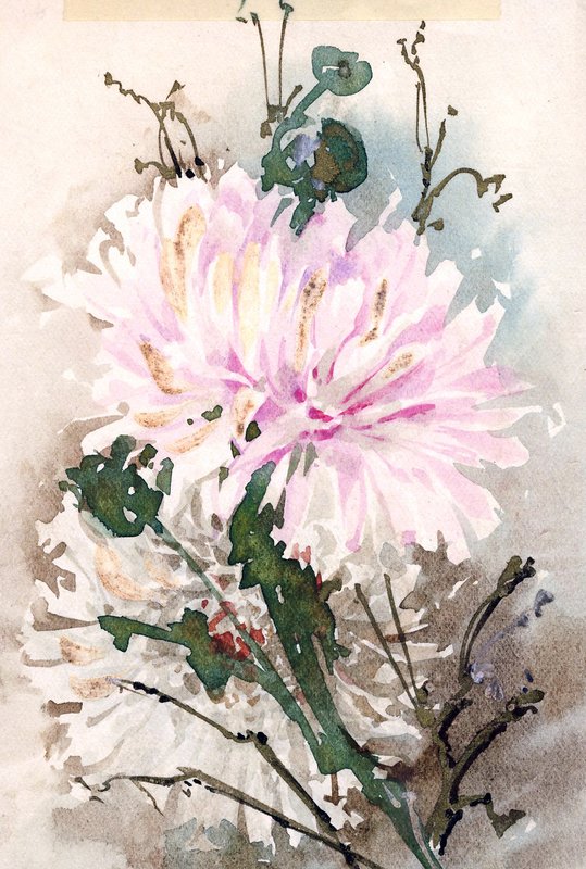 Flower Card 1.jpg :: Stock images are available for download at $3.00 each (plus .50 PayPal fee) and are transferred at full resolution and are Royalty and Copyright free and can be used in commercial work.