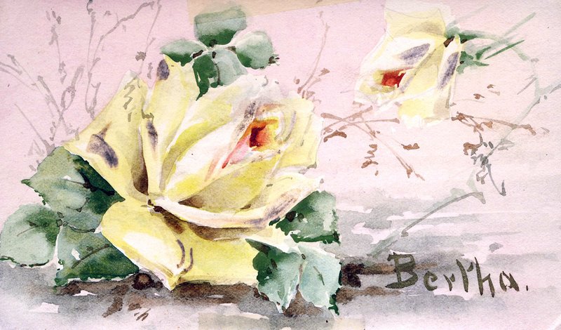 Flower Card 2.jpg :: Stock images are available for download at $3.00 each (plus .50 PayPal fee) and are transferred at full resolution and are Royalty and Copyright free and can be used in commercial work.