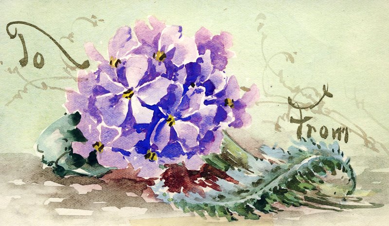 Flower Card 3.jpg :: Stock images are available for download at $3.00 each (plus .50 PayPal fee) and are transferred at full resolution and are Royalty and Copyright free and can be used in commercial work.