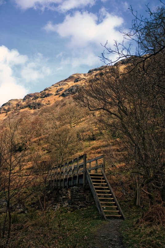 Footbridge Approaching Cailness Cottage.jpg :: ©2010 LKG Photography