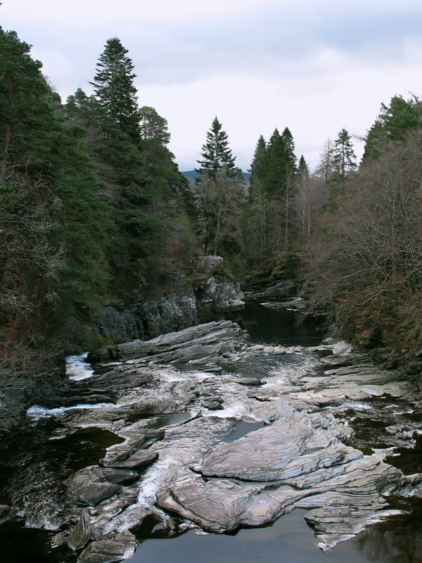 Forest River.jpg :: Taken in the Highlands of Scotland