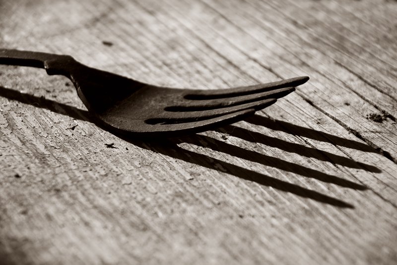 Forked.jpg :: ©2010 LKG Photography