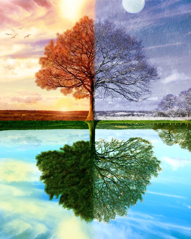 Four Seasons.jpg :: Created from a single image of a tree using a Photoshop tutorial by Sam Hampton Smith.

©2010 LKG Photography