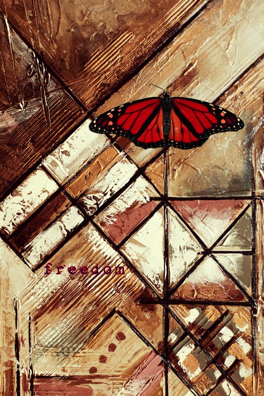 Freedom.jpg ::  ©2012 LKG Photography