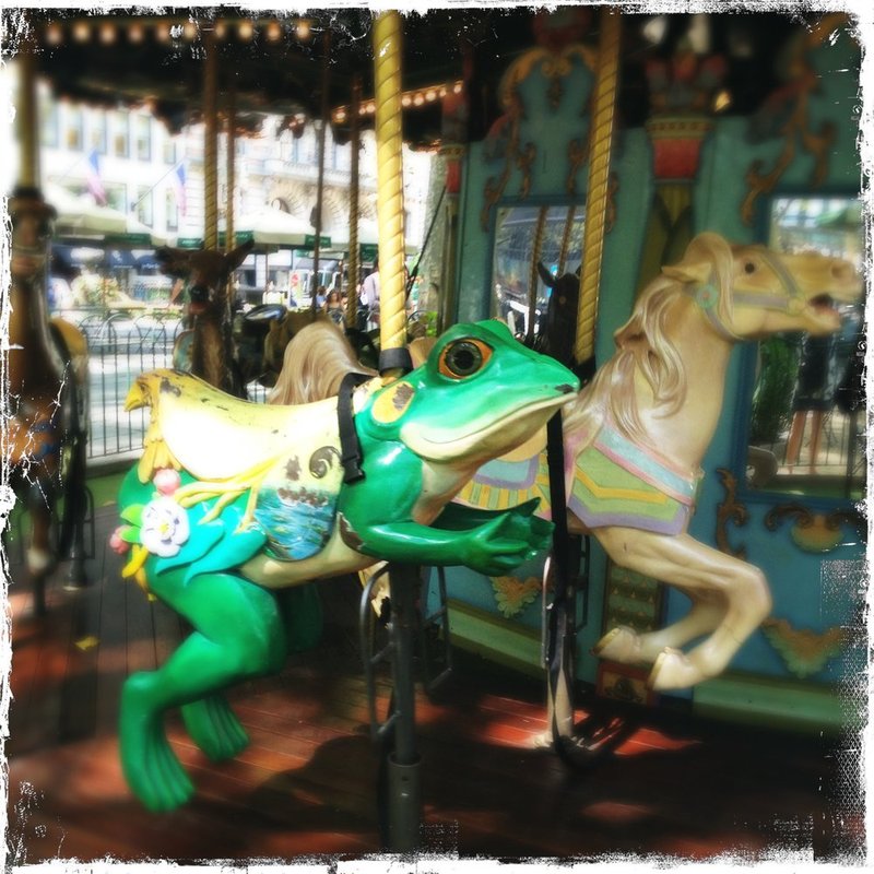 Frogger.jpg :: Taken with the iPhone 4s

©2013 www.lkgphoto.com
