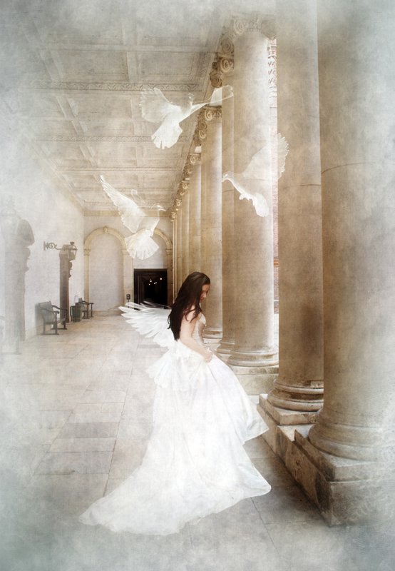Her Dreams Gave Her Wings.jpg :: So that she could fly and be free. :)