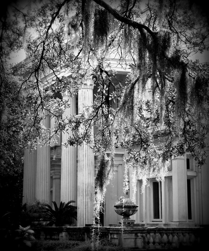 Hidden From View.jpg :: Southern mansion with Spanish moss taken in Savannah Georgia