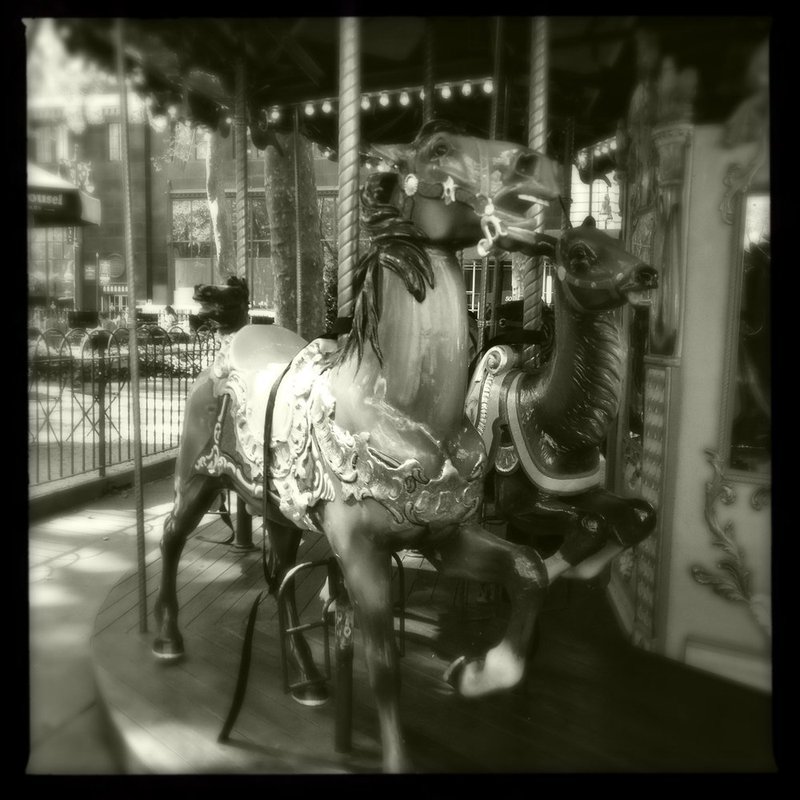 HorseAndDeer.jpg :: Taken with the iPhone 4s

©2013 www.lkgphoto.com