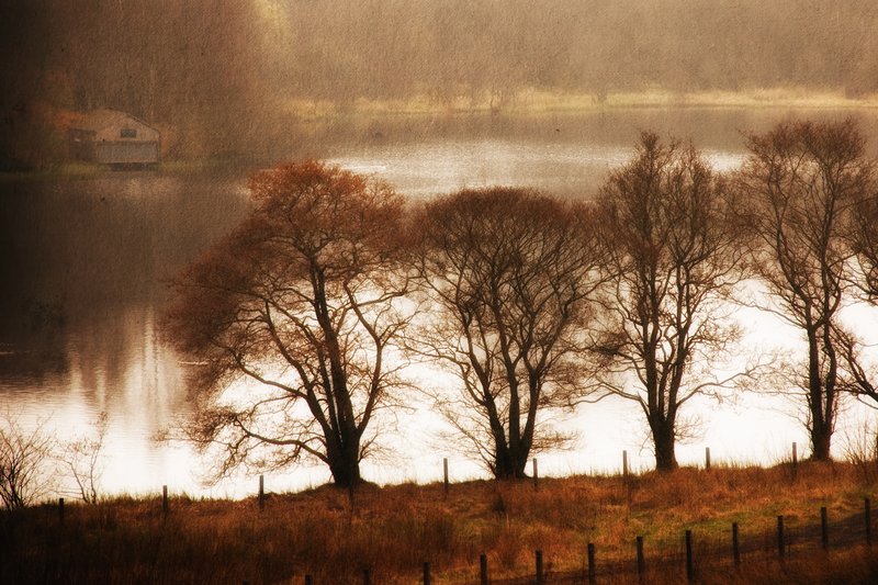 In the Distant Past.jpg :: ©2010 LKG Photography