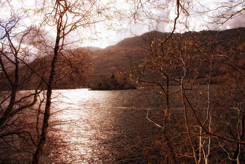Inveruglas Isle.jpg :: Inveruglas Isle (Scottish Gaelic