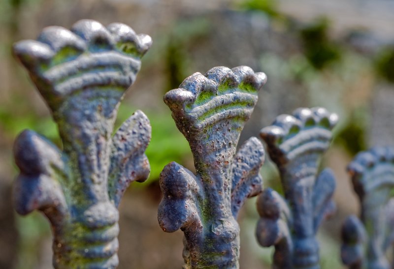 Kingly Fence.jpg