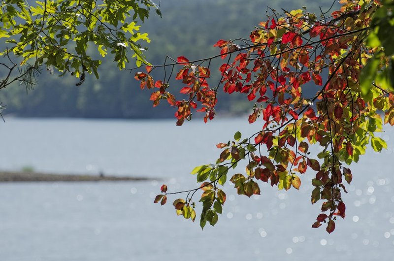Lake Ouachita Arkansas.jpg :: ©2012 LKG Photography