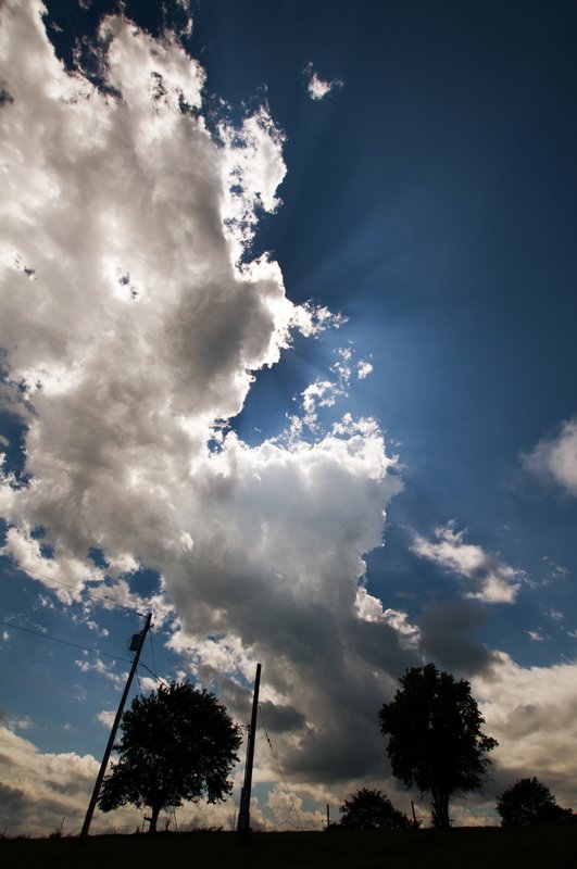 Let There Be Light.jpg :: ©2010 LKG Photography
