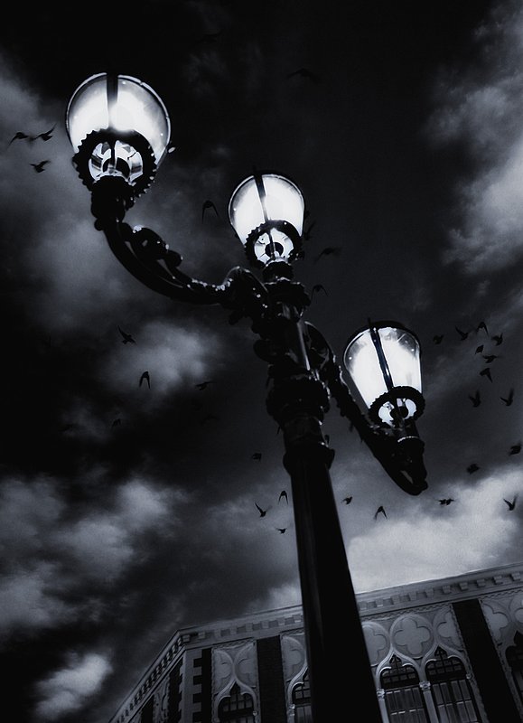 Light Amongst the Shadows.jpg :: The true shadow is not made by darkness, but of light.
Gabriel Swann
