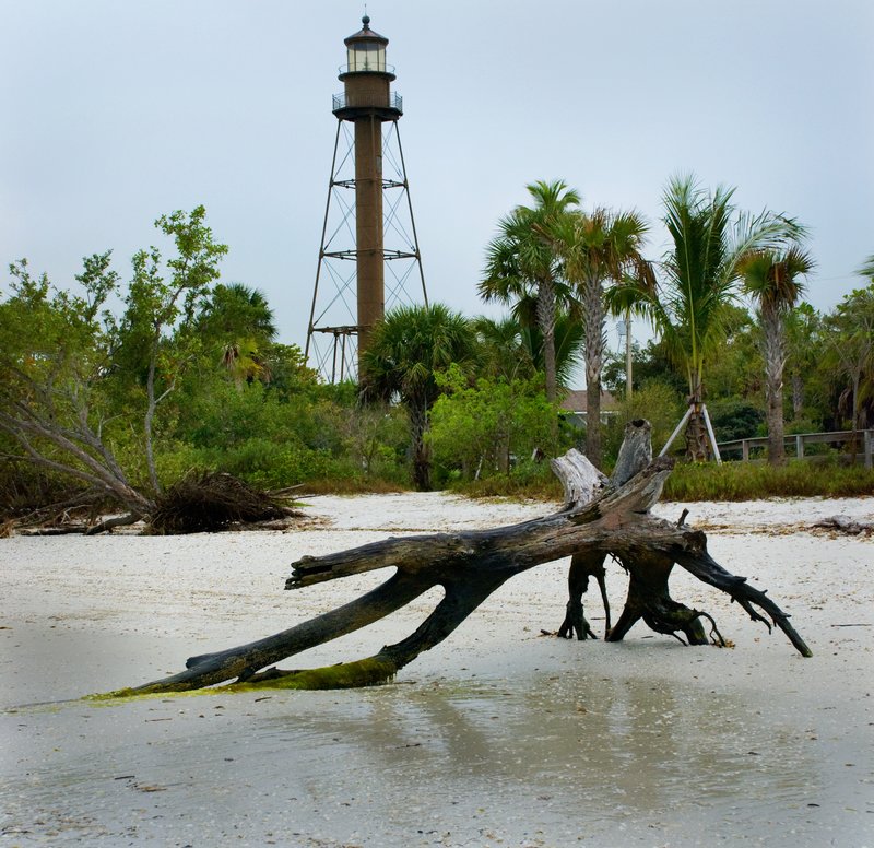 Lighthouse and Driftwood on Beach.jpg :: Lighthouse Point, Sanibel Island.