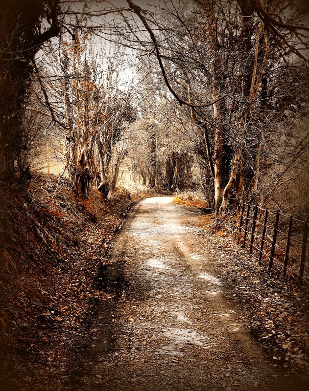 Lonely Road.jpg :: Stock images are available for download at $3.00 each (plus .50 PayPal fee) and are transferred at full resolution and are Royalty and Copyright free and can be used in commercial work.
